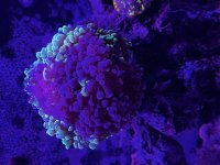 IMG_4390.jpeg