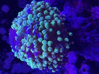IMG_3955.jpeg