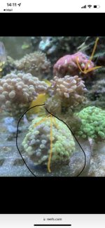 83622107-F7E7-4C39-AD3C-522DAC6B4C6C.jpeg