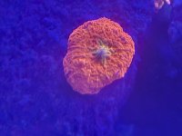20230615_222028.jpg