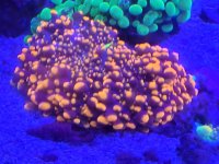20230615_222043.jpg