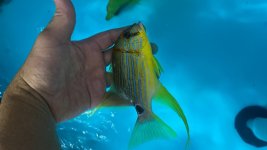 88033509-D834-4BDB-8A89-E9A72BB7D46C.jpeg