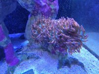 20230626_192140.jpg