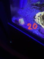 BDF3F3A3-5560-4C37-B0DF-0295938A3423.jpeg