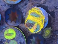 IMG_4905.jpeg