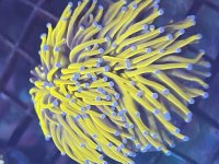 IMG_4907.jpeg