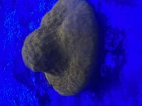 IMG_5007.jpeg