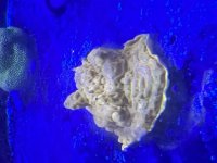 IMG_5006.jpeg