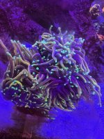 IMG_6850.jpeg