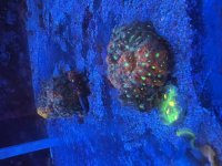 IMG_5046.jpeg