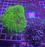20230707_221544.jpg