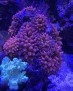 6B2A6C0E-6704-43D6-BA20-564F5F69AFB4.jpeg