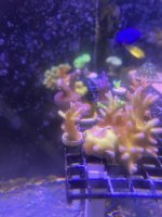 IMG_5077.jpeg