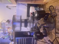 IMG_1815.jpeg