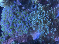96B717E6-B053-4E81-AFCC-4032021F3DF5.jpeg