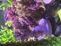 IMG_0304.jpeg