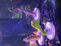 IMG_0303.jpeg