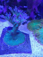 20230718_190922.jpg
