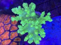 IMG_5280.jpeg