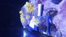 20230721_162125.jpg