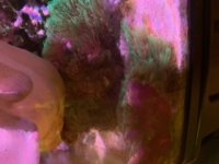 image3.jpeg