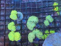 IMG_5377.jpeg