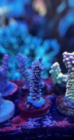 IMG_7190.jpeg