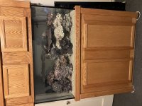 IMG_1137.jpeg