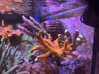IMG_0597.jpeg