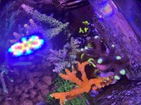 IMG_0738.jpeg