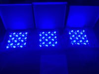 IMG_5577.jpeg