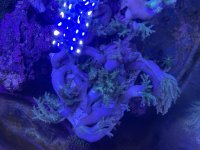 D1339D31-8D37-4009-97C5-309F232D8882.jpeg