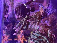 IMG_0798.jpeg