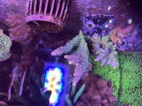 IMG_0797.jpeg
