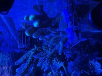 IMG_0823.jpeg