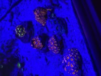 IMG_6144.jpeg