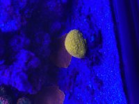 IMG_6142.jpeg