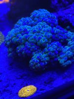 IMG_6137.jpeg
