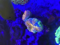 IMG_6135.jpeg
