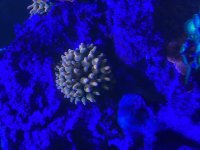 IMG_6122.jpeg