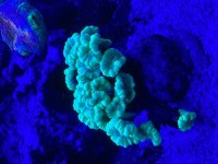 IMG_6110.jpeg