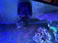 IMG_2884.jpeg