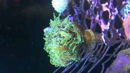 74E9842C-3AD6-4268-BA04-C180927DC80D.jpeg