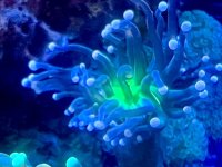 IMG_2045.jpeg