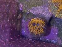 IMG_7736.jpeg