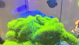 IMG_6839.jpeg
