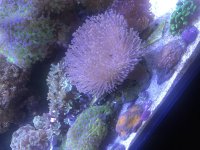 49886EE2-D901-426C-9D4E-A4AE1DE0B543.jpeg