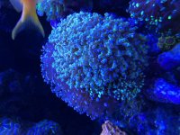 B381D7B3-6E5F-4A26-8451-7D403884AA22.jpeg