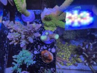 IMG_0830.jpeg
