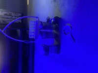 IMG_1067.jpeg